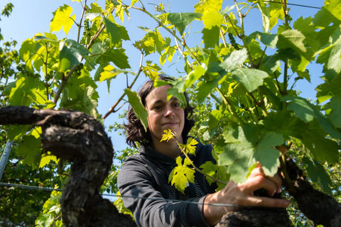 Le Domaine Sauvète