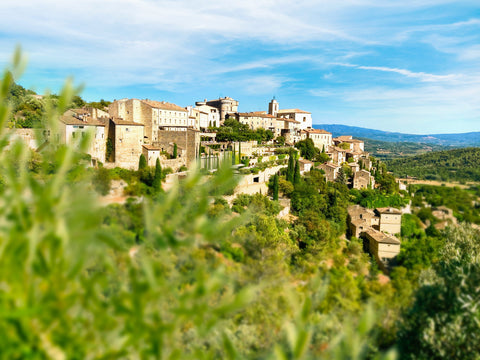 Famille Milan : des vins de Provence sans compromis