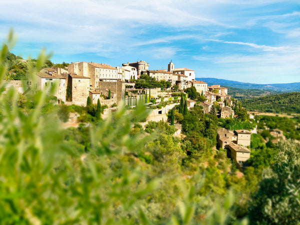 Portrait of the Milan family, "Producing wines that don't give you a headache"