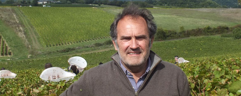 Domaine Minchin