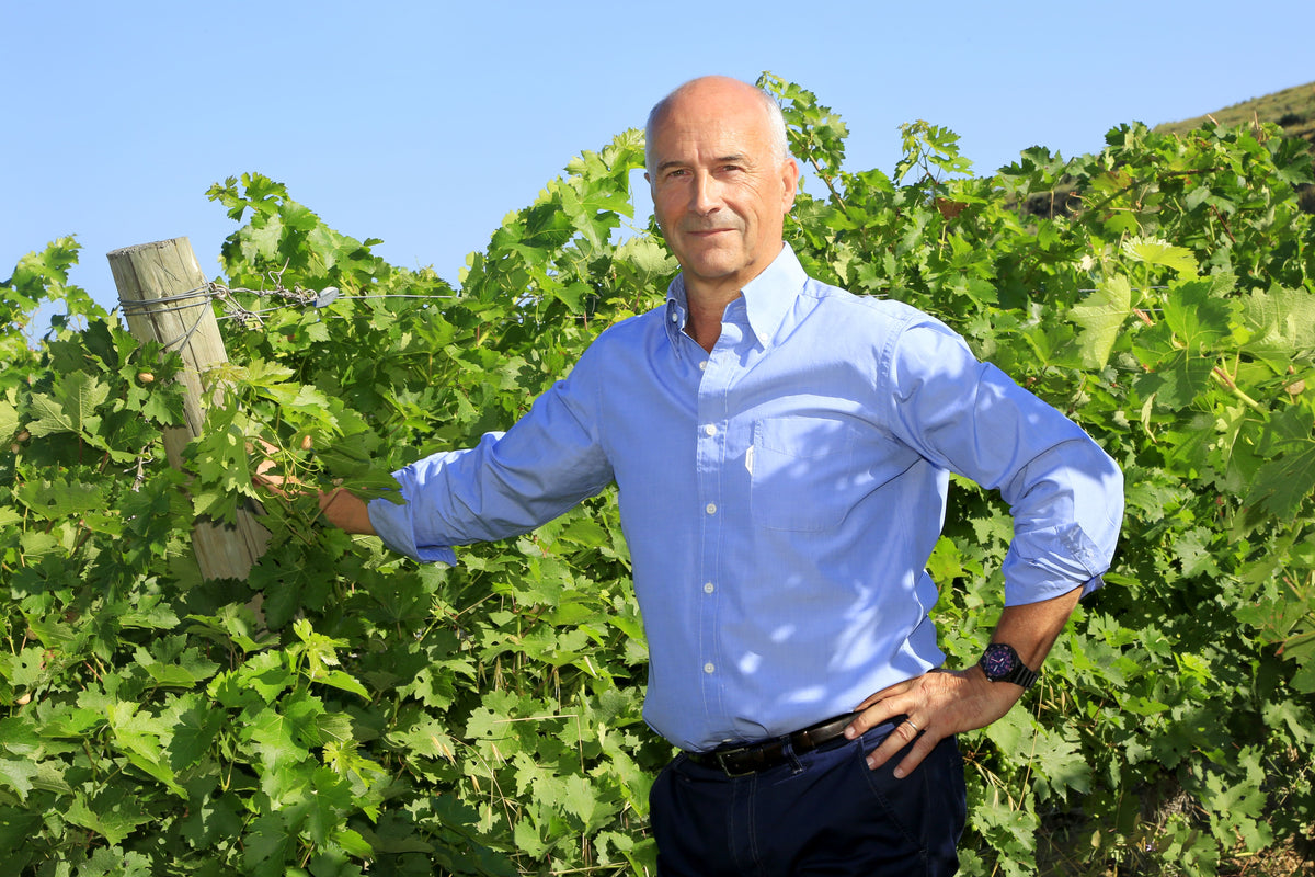 Jacques Frelin Vignobles