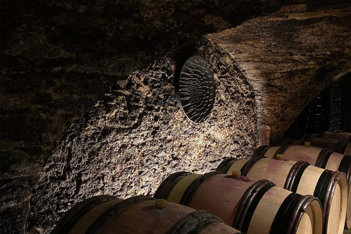 Chapuis &amp; Chapuis