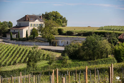 Domaine Capmartin