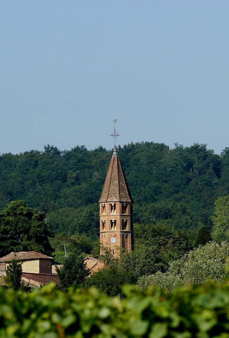 Domaine Tripoz