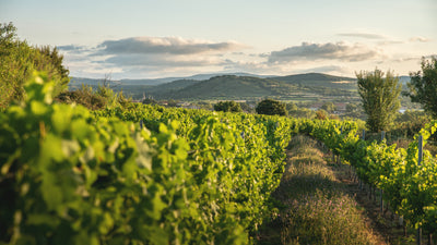 Domaine de l'Arjolle
