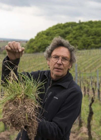 Julien Meyer