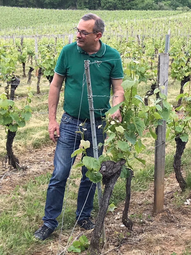 Vignobles Pelvillain