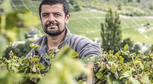 Adrien Berlioz - Cellier des Cray