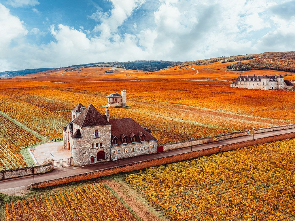 Domaine Olivier Gard