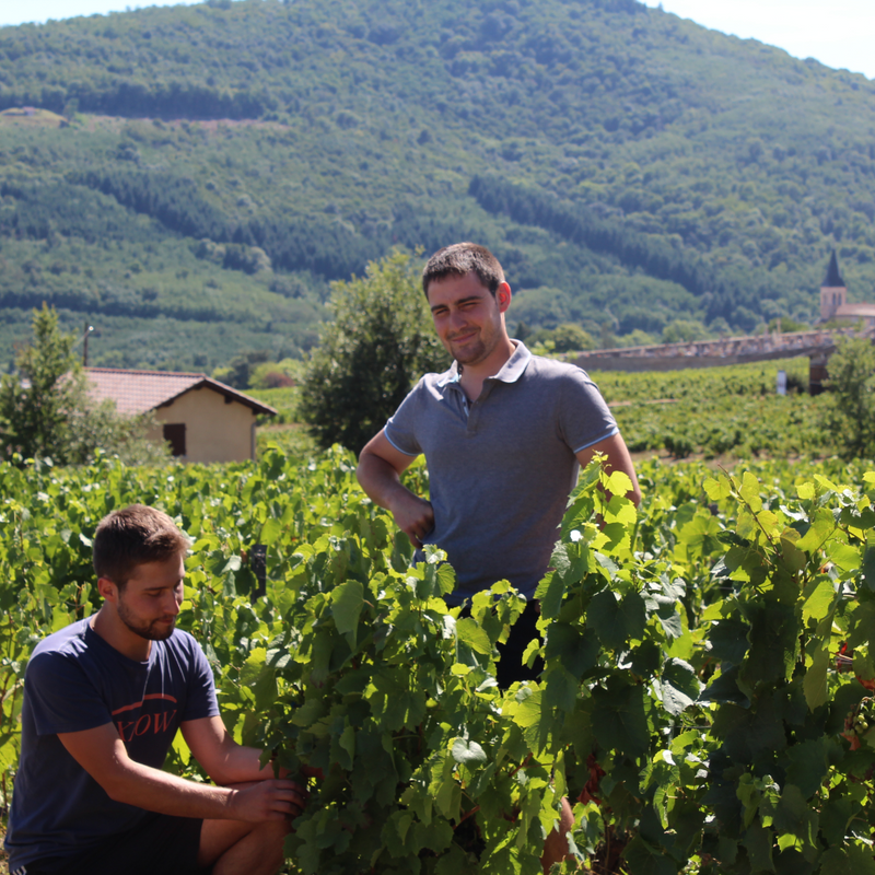 Domaines Perrachon Et Fils