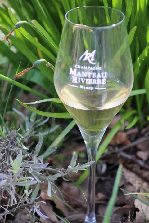 Champagne Manteau - Rivierre