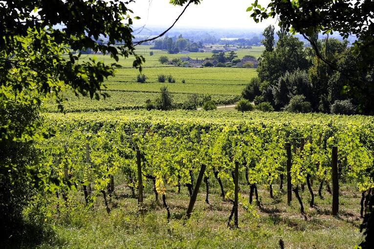 Château Coutet