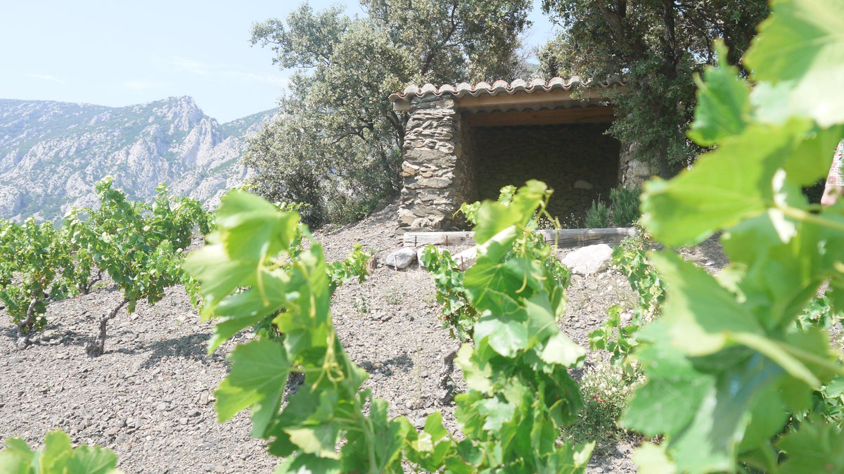 Le Manoir des Schistes