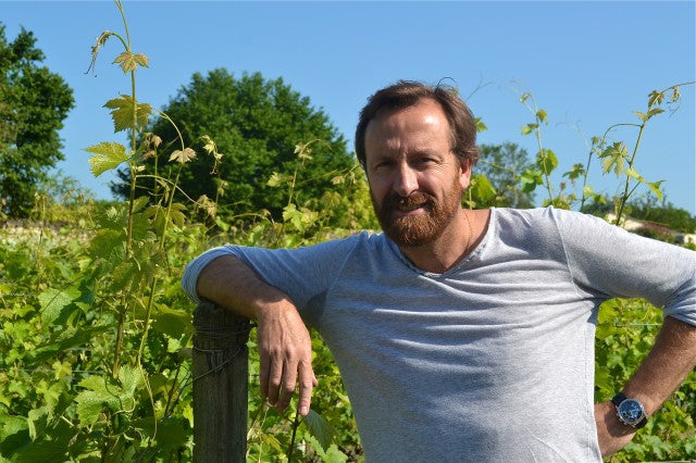 Domaine Des Roches Neuves