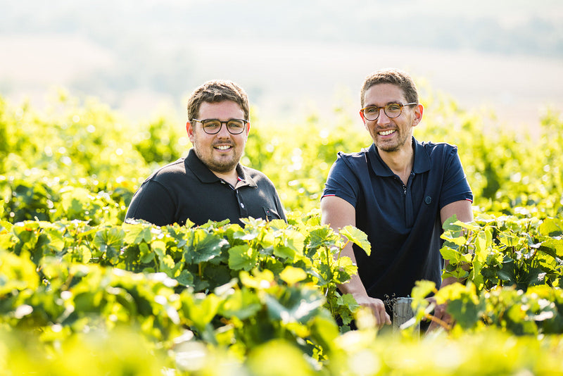 Vignobles Berthier
