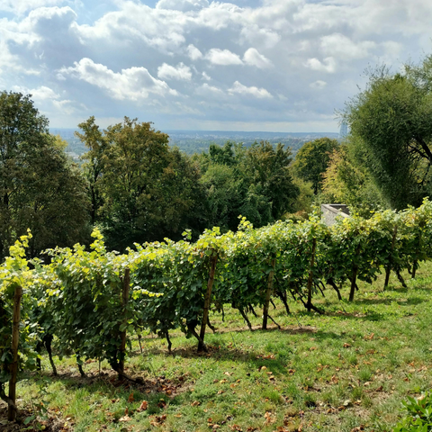 Loire Region