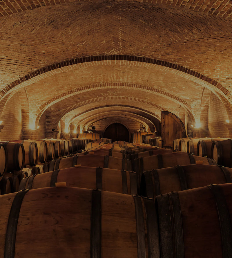 Nos grandes pépites