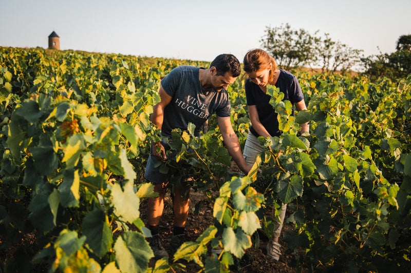 Nos plus fortes promos