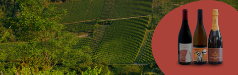 Le Domaine Tripoz en exclusivité chez Les Grappes !