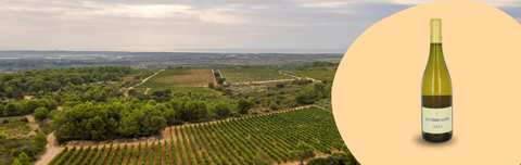 The 2025 Terres Salées Vintage