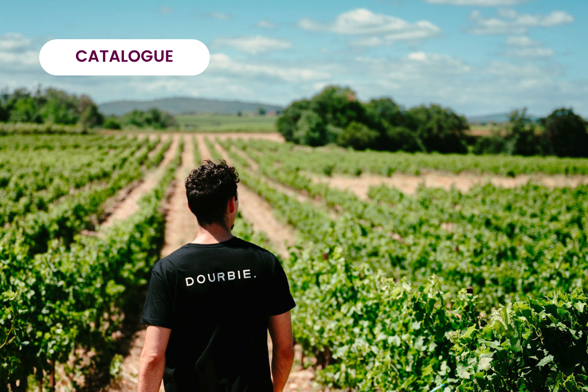 Retrouvez tous nos vignerons