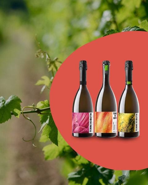 Terre dei Buth, des bulles italiennes  100% plaisir