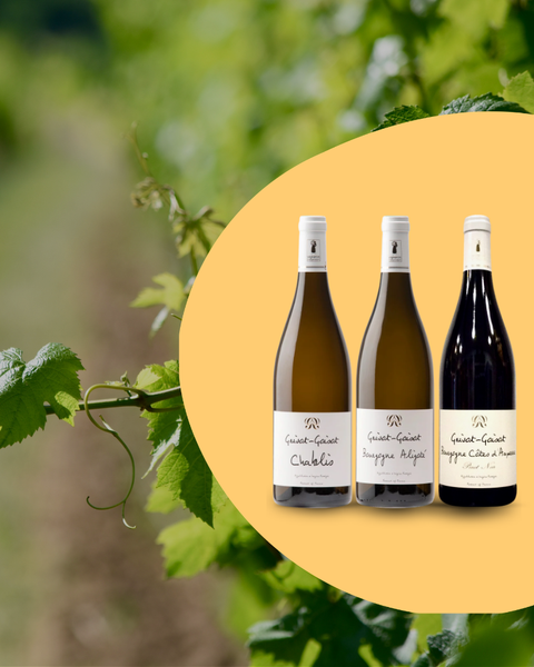 CAP SUR LA BOURGOGNE