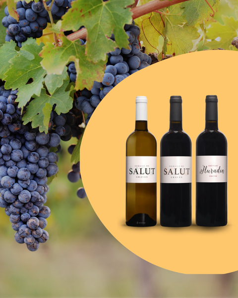 -15% sur le Domaine du Salut