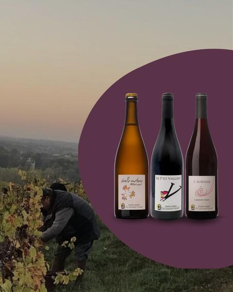 Let yourself be tempted by Les Grandes Vignes