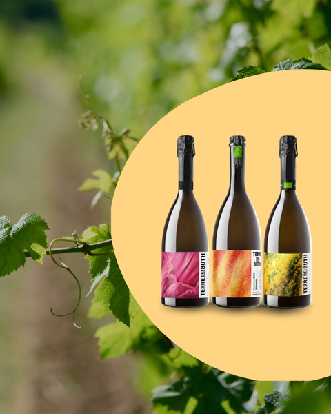 Terre dei Buth, Italian sparkling wines—100% pleasure