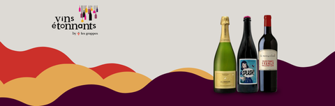 Discover all the wines on the Vins Étonnants website