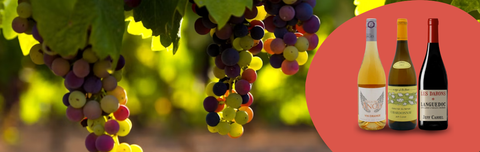 The 10 Best Wines from Jeff Carrel, 15% Off