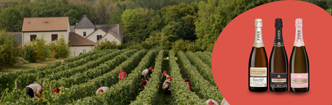Vente privée Champagne : Maison Piper-Heidsieck