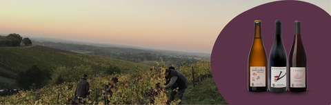 Let yourself be tempted by Les Grandes Vignes