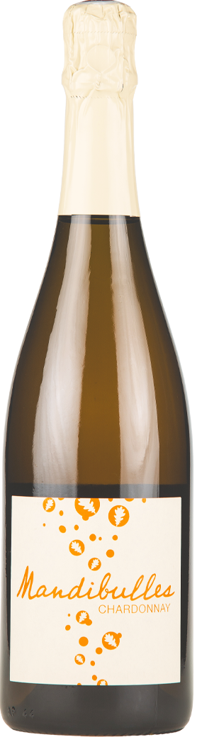 Cuvée Mandibulles du domaine Eric Chevalier