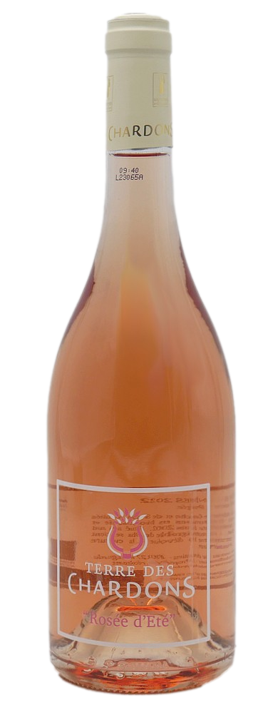 Cuvée rosée d'été du domaine Terre Des Chardons