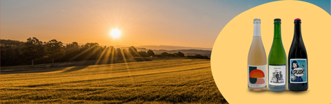 Discover our selection of naturally sparkling wines