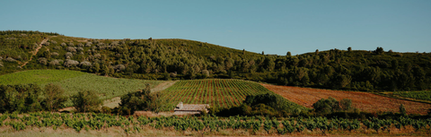 Pour vous donner accès au plus grand vignoble de France