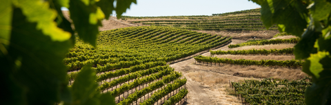 Découvrez nos régions