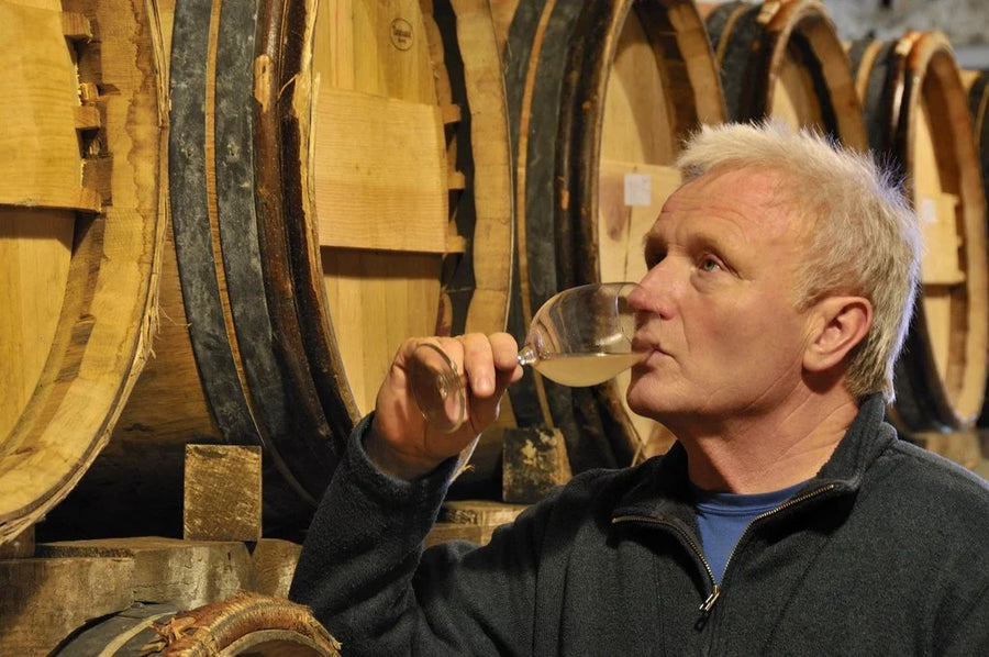 Vins bio, biodynamique & nature