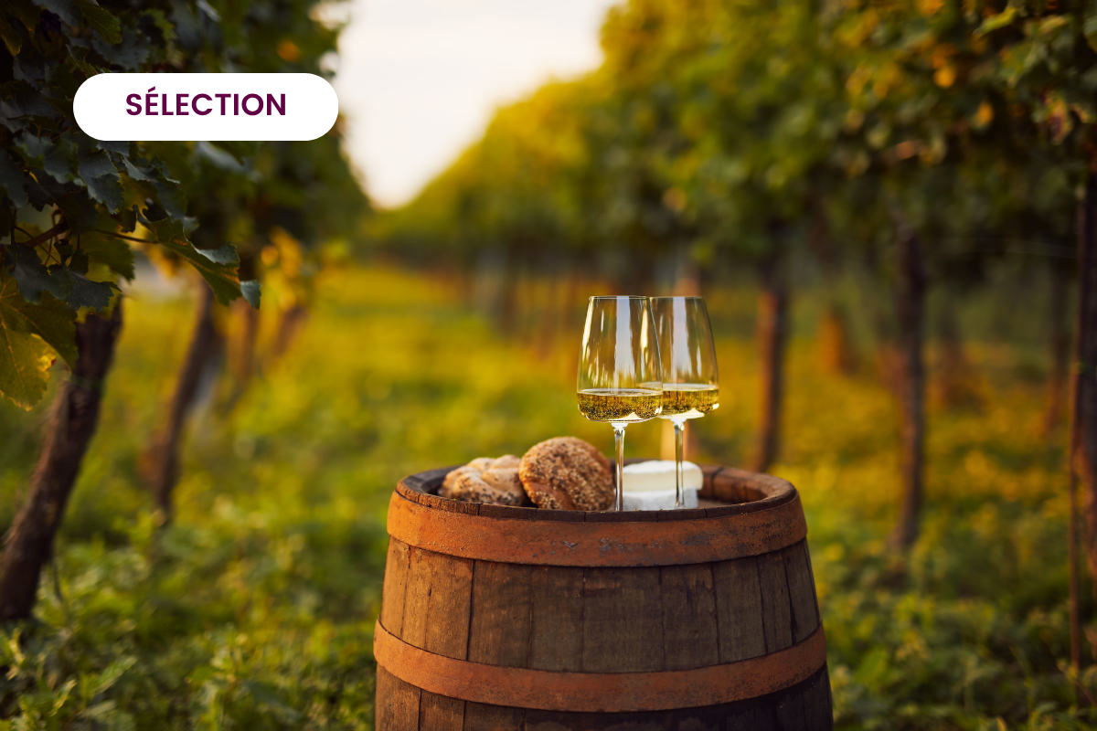 Les vins des plats d'automne