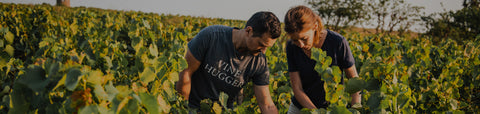 Our must-visit winemakers