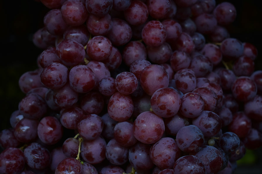 Vins bio, biodynamique & nature