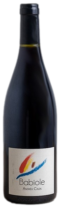 Babiole Vintage from the Andréa Calek Estate