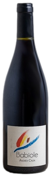 Babiole Vintage from the Andréa Calek Estate