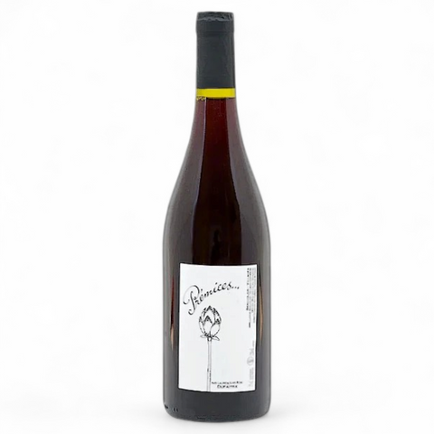 Bouteille de vin Beaujolais-Villages Prémices 2025 du domaine Domaine Dufaitre