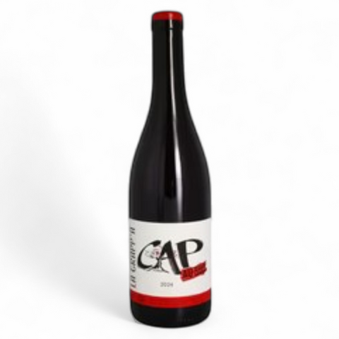 Bouteille de vin Cap au Sud 2024 du domaine La Grapp'A