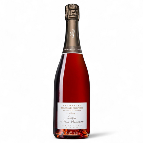 Bouteille de vin Champagne Saignée des Terres Amoureuses Extra-Brut 2015 du domaine Bertrand Delespierre