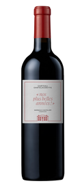 Cuvée Château Cantelaudette 'Nos plus belles années' - Château CANTELAUDETTE