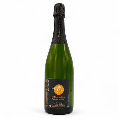 Bouteille de vin Crémant du Jura Blanc de Noirs 2020 du domaine Domaine Morel